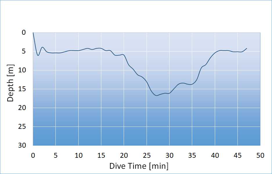 dive profile