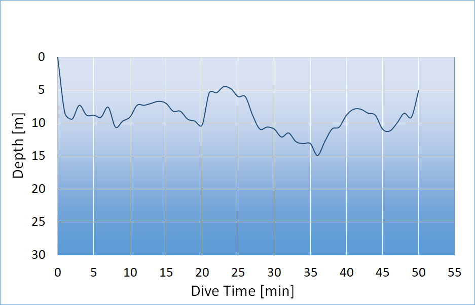 dive profile