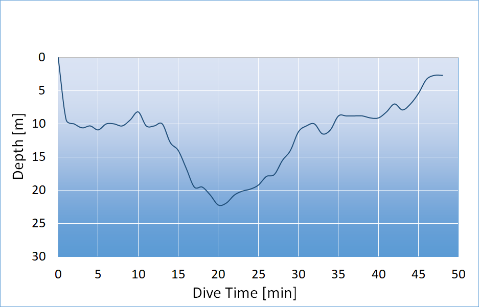 dive profile