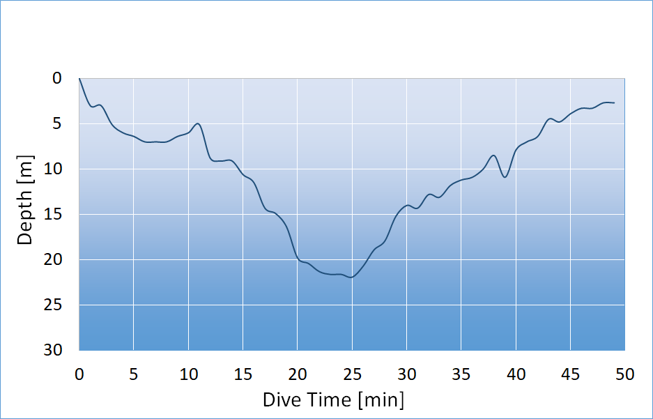 dive profile