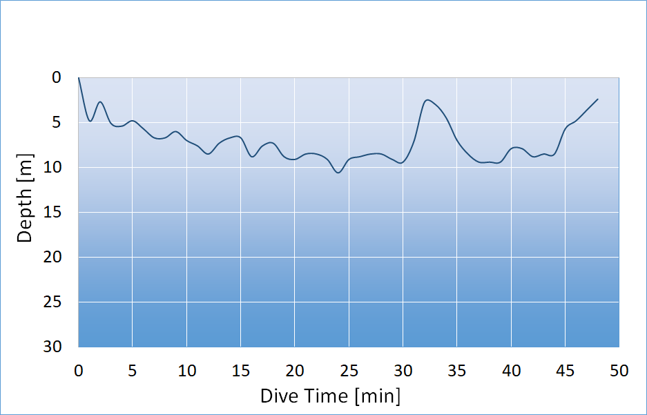 dive profile