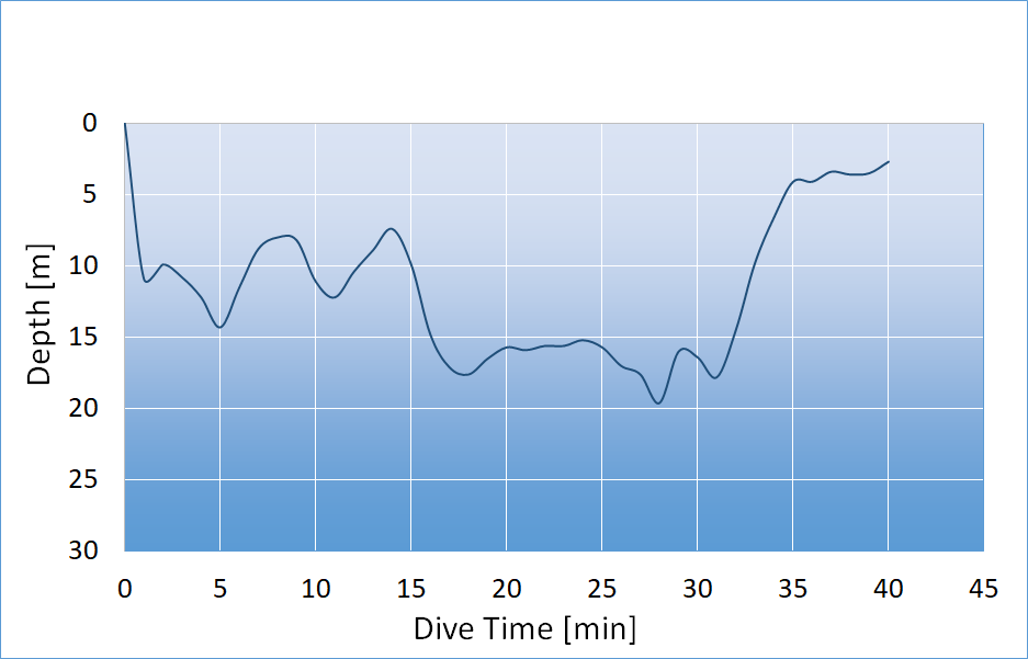 dive profile