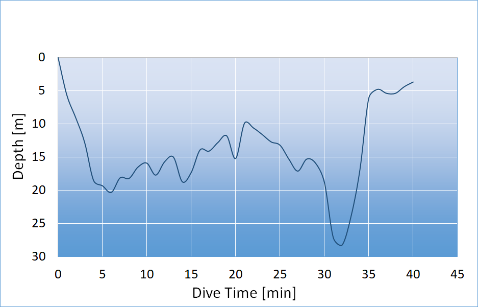 dive profile