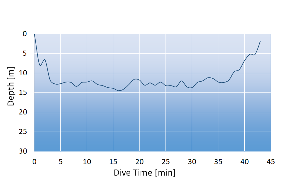 dive profile