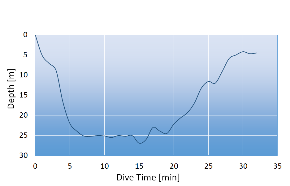 dive profile