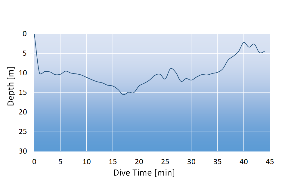 dive profile