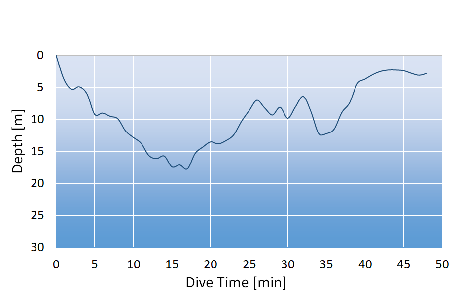 dive profile