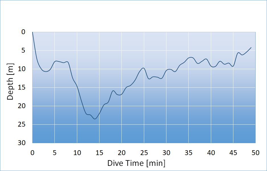 dive profile