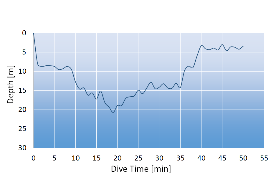 dive profile