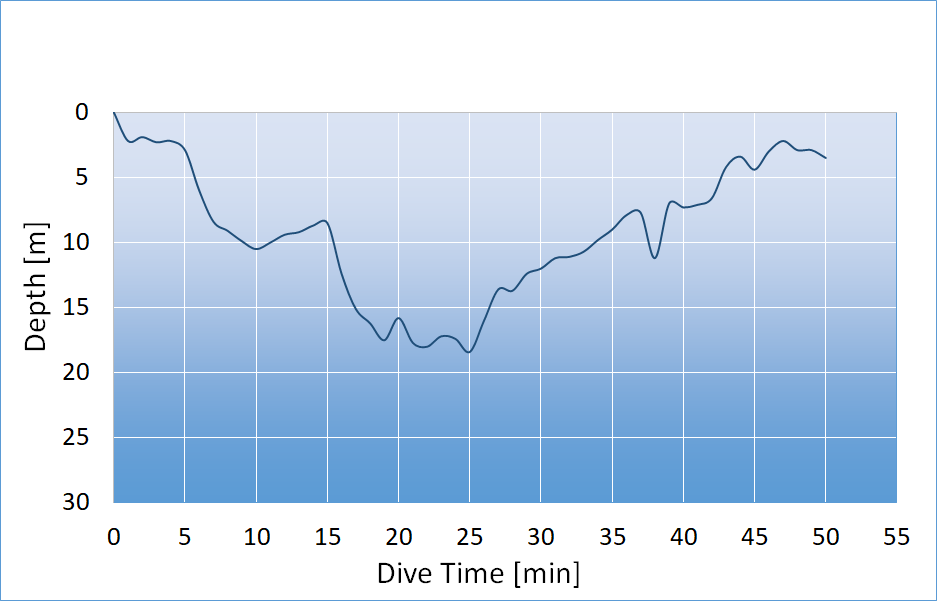 dive profile
