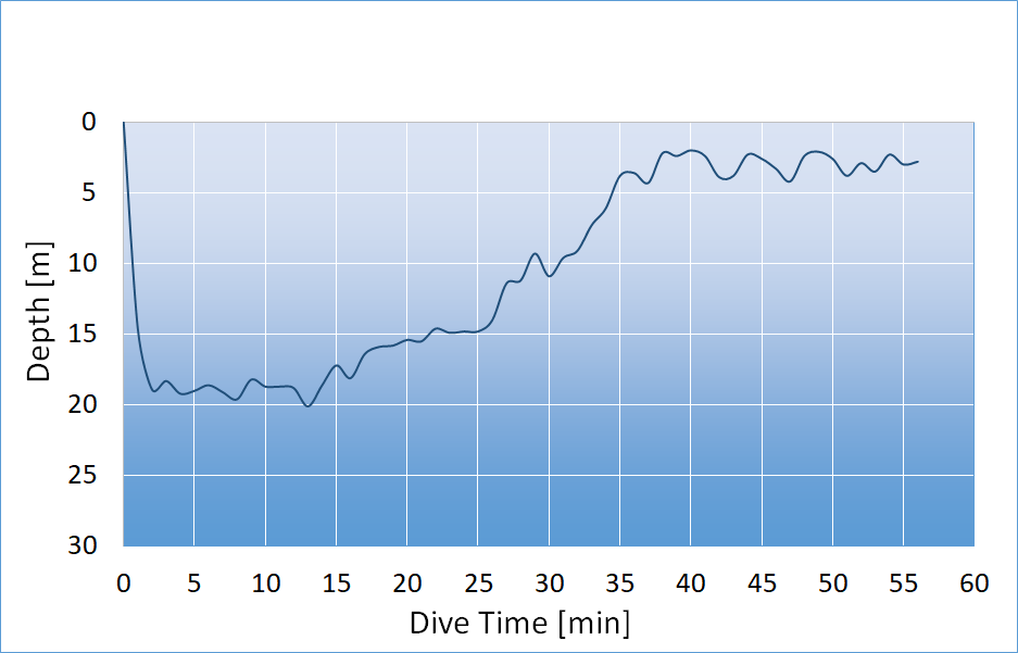 dive profile